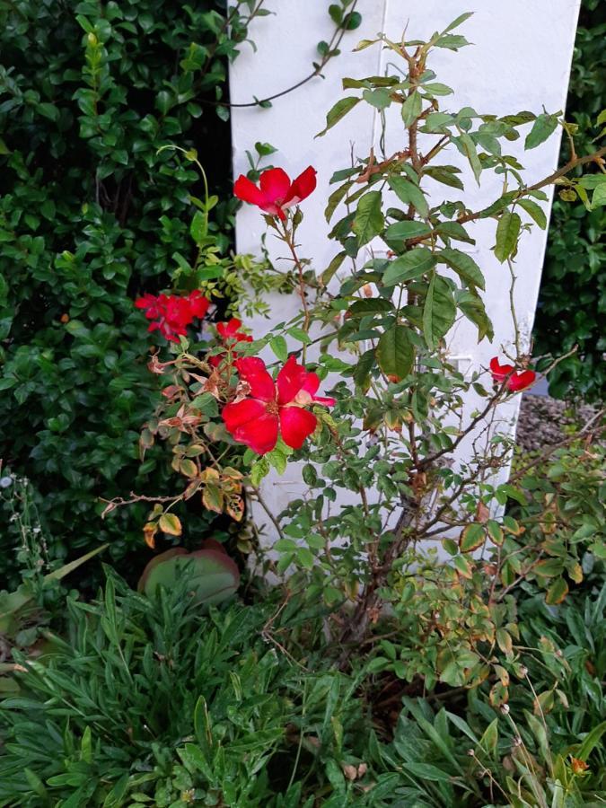 오쇼른 Adley House B&B 외부 사진